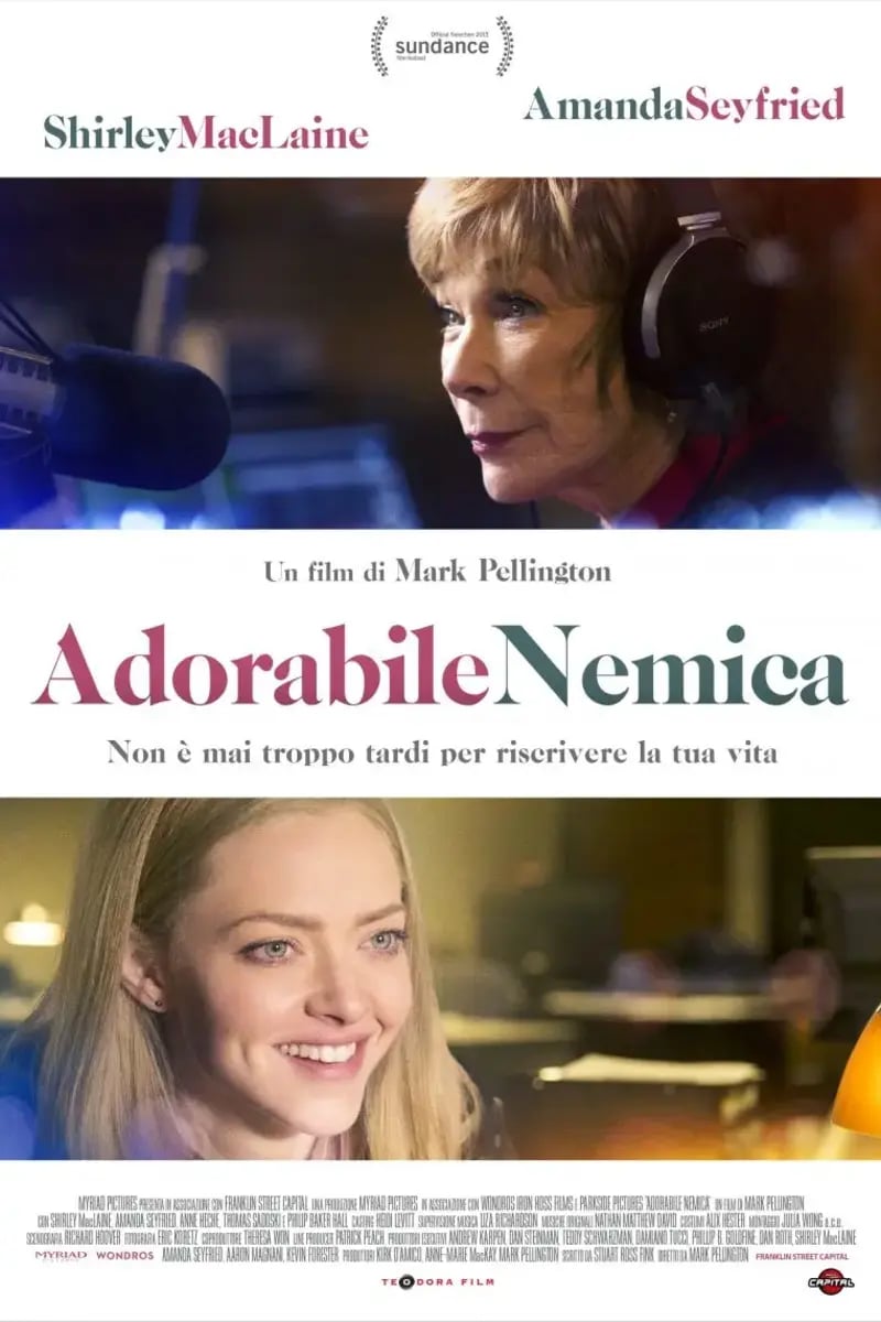 Adorabile Nemica poster