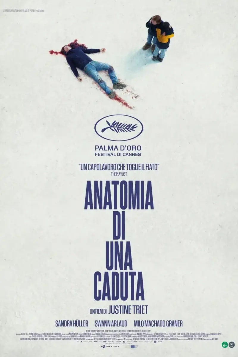 Anatomia di una caduta poster backdrop